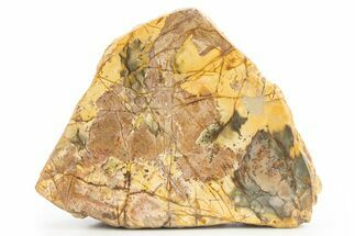 Polished Cherry Creek Jasper - China #318953