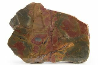 Polished Cherry Creek Jasper - China #318955