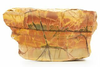Polished Cherry Creek Jasper - China #318970