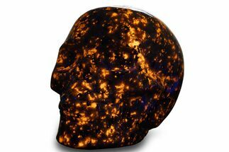 Fluorescent Polished Sodalite-Syenite Skull - China #319805