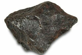 Canyon Diablo Iron Meteorite ( g) - Arizona #319635