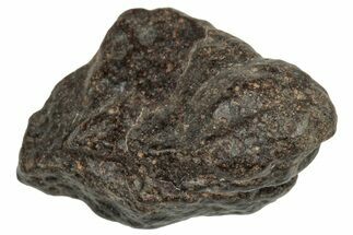 Carbonaceous Chondrite Meteorite ( g) - NWA #313743