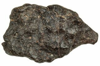 Carbonaceous Chondrite Meteorite ( g) - NWA #313774