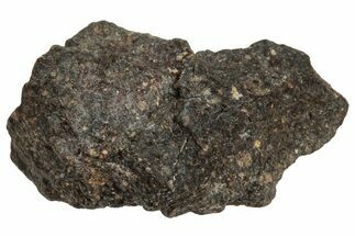 Carbonaceous Chondrite Meteorite ( g) - NWA #313776