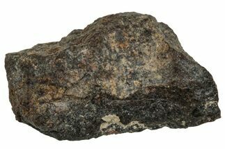 Carbonaceous Chondrite Meteorite ( g) - NWA #313785