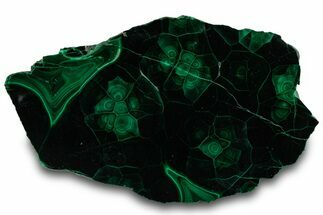 Flowery Polished Malachite Slab - DR Congo #319840