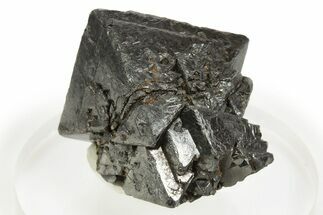 Lustrous Octahedral Magnetite Crystal Cluster - Utah #320464