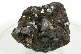 Lustrous Octahedral Magnetite Crystal Cluster - Utah #320516