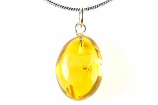 Polished Baltic Amber Pendant (Necklace) - Contains Fly! #321232