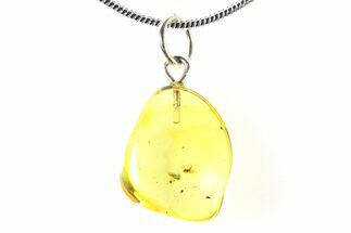 Polished Baltic Amber Pendant (Necklace) - Contains Fly! #321235