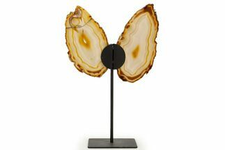 Agate Butterfly Wings - Brazil #322218