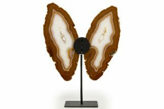 Agate Butterfly Wings - Brazil #322227