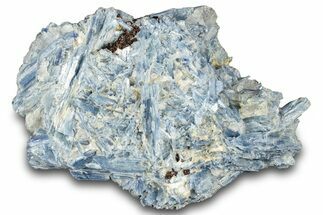 Vibrant Blue Kyanite Crystals and Staurolite In Quartz - Brazil #322582