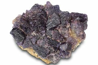 Dark Purple Fluorite Crystal Cluster - Cave-in-Rock, Illinois #322804