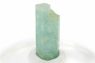 Gemmy Vanadium Emerald Beryl Crystal - Nigeria #322915