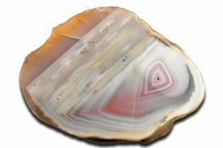 Polished Queensland Agate Nodule - Australia #323011