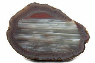 Polished Queensland Agate - Australia #323013