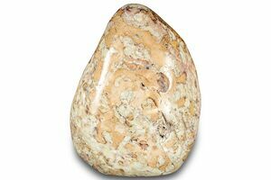 Jasper For Sale - FossilEra.com