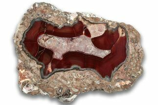 Polished Baker Ranch Thunderegg (Half) - New Mexico #323773