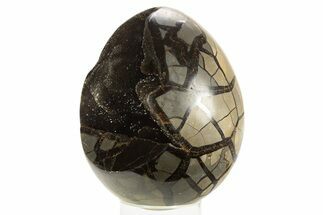 Septarian Dragon Egg Geode - Black Crystals #323473