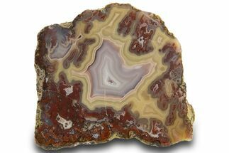 Polished Banded Laguna Agate Half - Mexico #323892