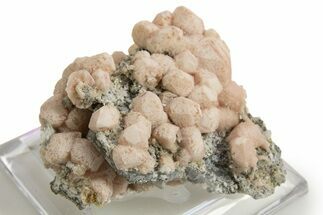 Pink Rhodochrosite After Calcite on Barite & Pyrite - Bulgaria #323943