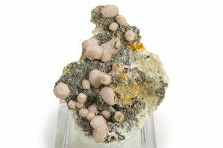 Sparkling Rhodochrosite After Calcite with Pyrite - Bulgaria #323950