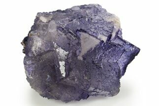 Deep Purple Fluorite Crystals - Múzquiz, Mexico #323896