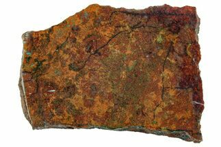 Vibrant Sonora Sunset (Chrysocolla Cuprite) Slab - Mexico #323929