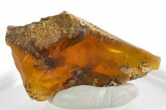 Rough Oregon Fire Opal #324018
