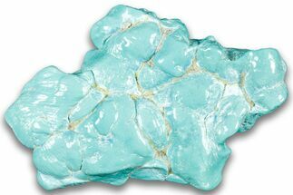 Polished Chilean Turquoise ( grams) Nugget #324097