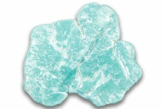 Polished Chilean Turquoise ( grams) Nugget #324112