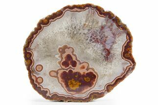 Polished Banded Agate Nodule - Kerrouchen, Morocco #324146