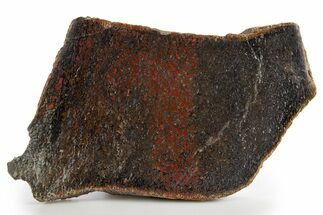 Polished Dinosaur Bone (Gembone) Slab - Colorado #324202