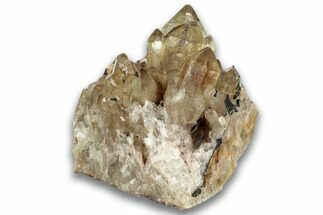 Smoky Citrine Crystal Cluster - Luena, DR Congo #324397