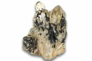 Smoky Citrine Crystal Cluster - Luena, DR Congo #324403