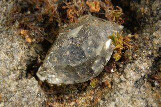 Herkimer Diamonds in Matrix - The Ace of Diamonds Mine, New York #324462