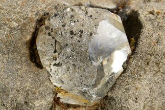 Herkimer Diamond in Matrix - The Ace of Diamonds Mine, New York #324465