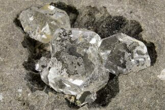 Herkimer Diamonds in Matrix - The Ace of Diamonds Mine, New York #324482