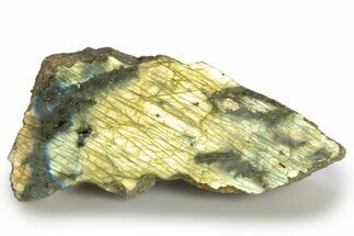 Single Side Polished Labradorite Section - Madagascar #324645