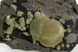 Botryoidal Green Calcite Formations on Basalt - Italy #319203
