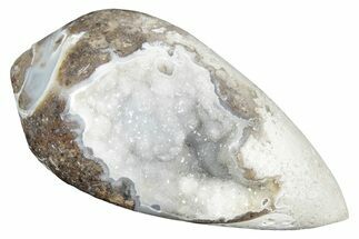 Chalcedony Replaced Gastropod With Sparkly Quartz - India #320810