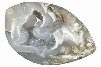 Chalcedony Replaced Gastropod With Sparkly Quartz - India #320813