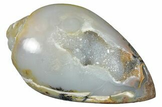 Chalcedony Replaced Gastropod With Sparkly Quartz - India #320834