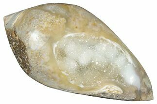 Chalcedony Replaced Gastropod With Sparkly Quartz - India #320837