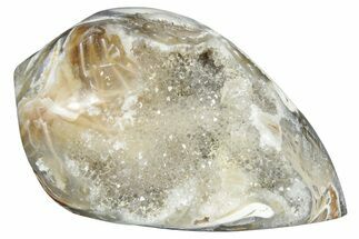 Chalcedony Replaced Gastropod With Sparkly Quartz - India #320842