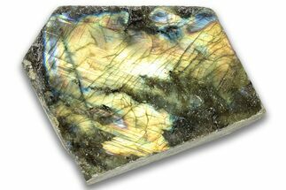 Single Side Polished Labradorite Section - Madagascar #324659