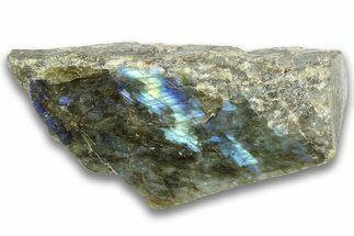 Single Side Polished Labradorite Section - Madagascar #324661