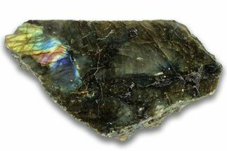 Single Side Polished Labradorite Section - Madagascar #324678
