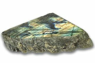Single Side Polished Labradorite Section - Madagascar #324695